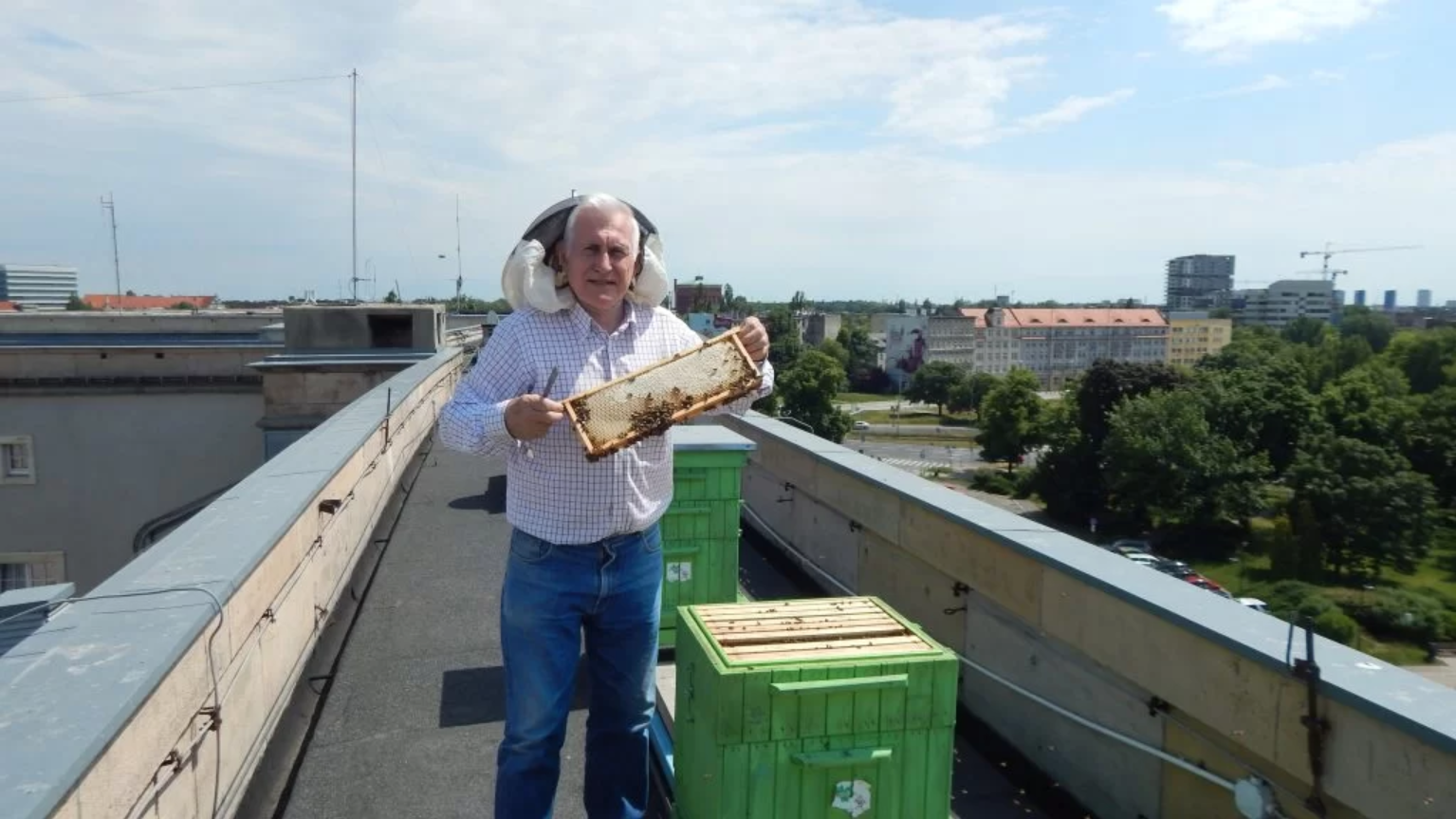 Mirosław Majcherek na dachu Dolnośląskiego Urzędu Wojewódzkiego. Pasieka